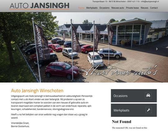 Auto Jansingh Logo