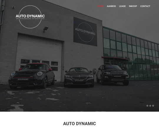 Auto Dynamic Logo
