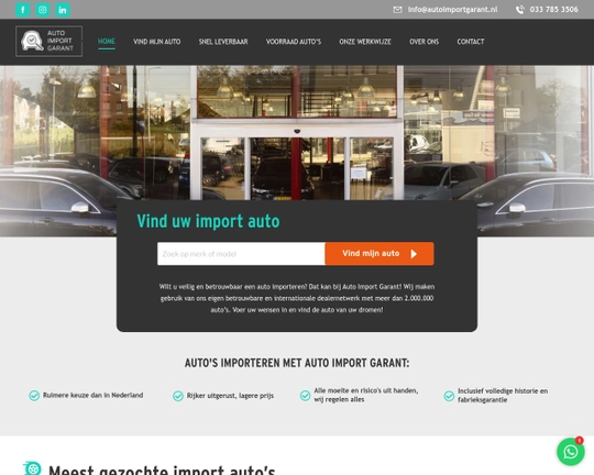 Auto Import Garant Logo