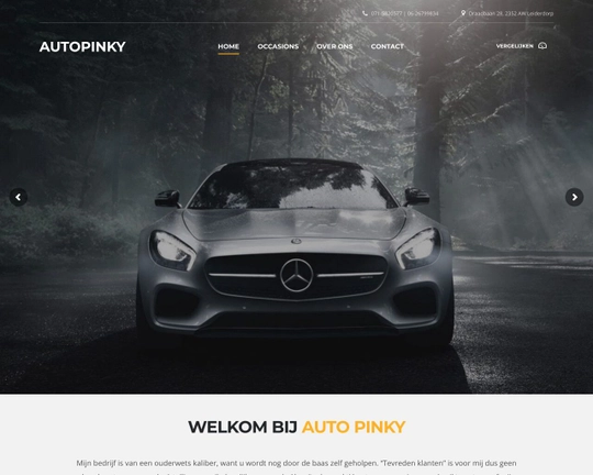 Autopinky Logo