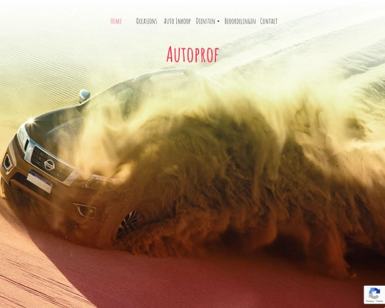 Autoprofonline Logo