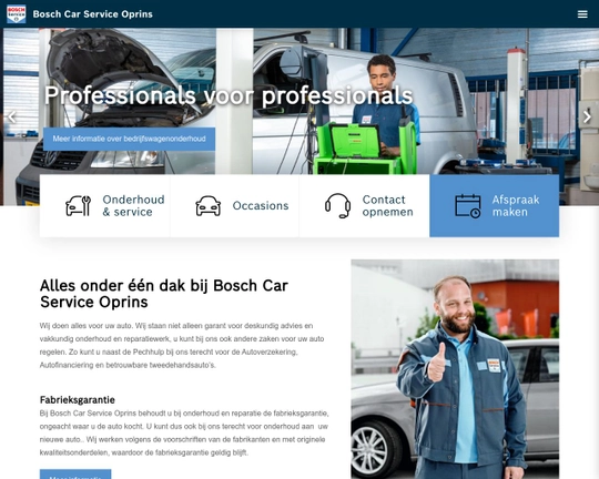 Bosch Car Service Oprins Logo