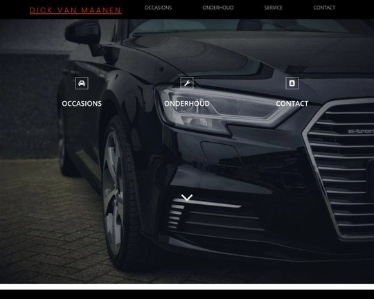 Dick van Maanen Logo