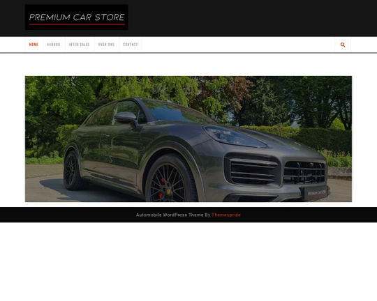Premium Car Store Logo